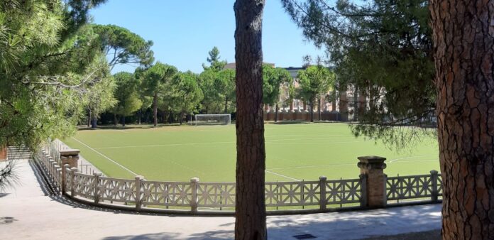 Stadio dei Pini Macerata: uomo e cane 
