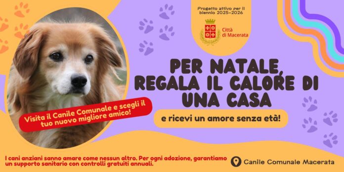 Macerata: Un Amico a 4 Zampe per Natale. Il Comune lancia un progetto